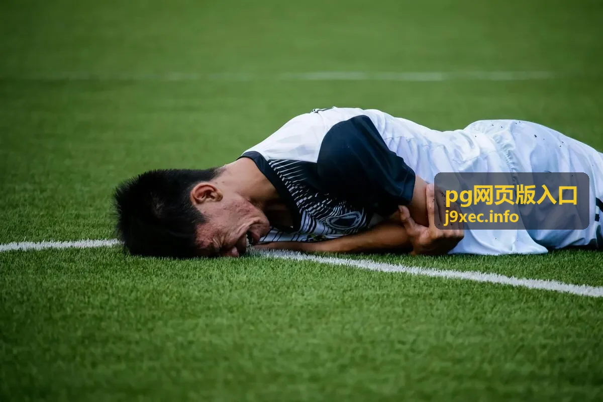 pg网页版入口常见提示对照说明封面